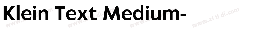 Klein Text Medium字体转换